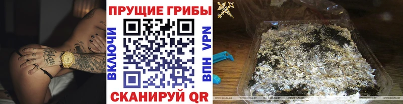 Псилоцибиновые грибы мухоморы наркошоп Поворино